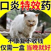 Cat stomatitis special effect medicine kitty mouth drooling mouth ulcer gum red swollen special anti-inflammatory and bacteriostatic spray