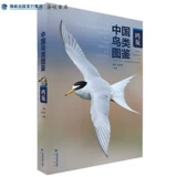 [Подлинное место] Китайская Bird Picture Book (Gull Edition) собирает все виды птиц китайского семейства диких чайков и семейства Skua. Персонал подсемейной подсемейной птиц Ассоциации подсемейства. Под редакцией Чжана Лин и Чэнь Сюэюн. Книжный магазин пролива