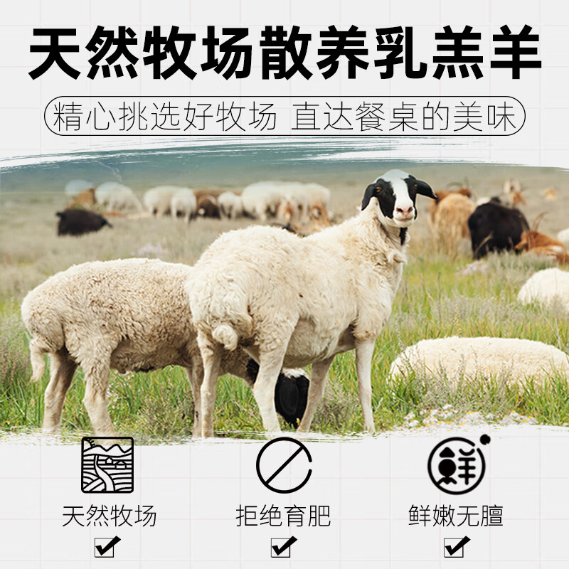 羊肉新鲜半只羊10斤羔羊生鲜羊肉羊腿羊排羊蝎子火锅食材烤全羊