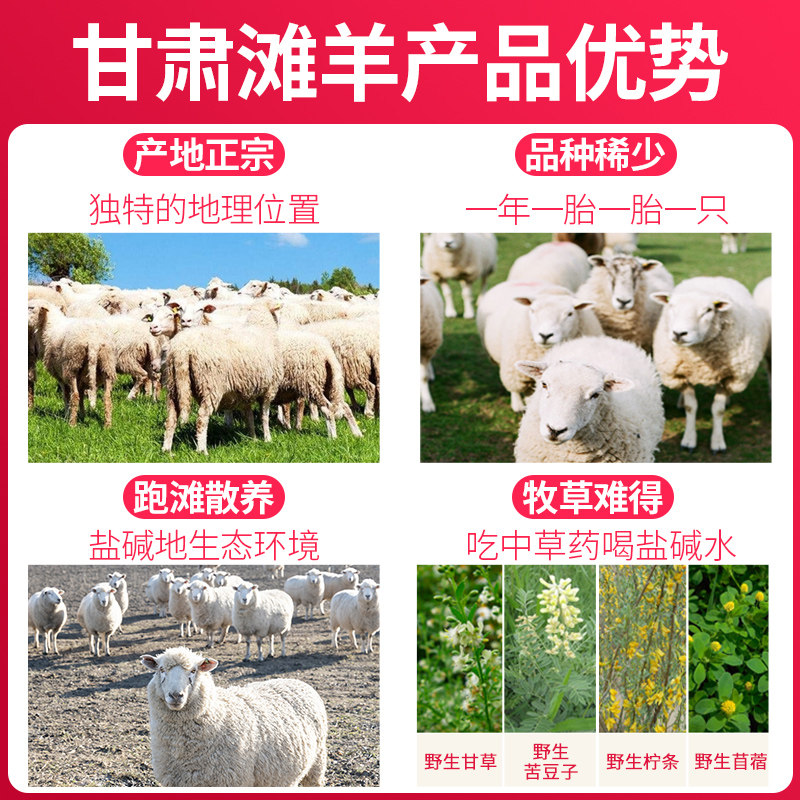 甘肃滩羊半只羊10斤羊肉新鲜手把生羊肉羊腿羊排羊蝎子火食材,淘宝优惠券,粉丝福利购,淘宝优惠卷
