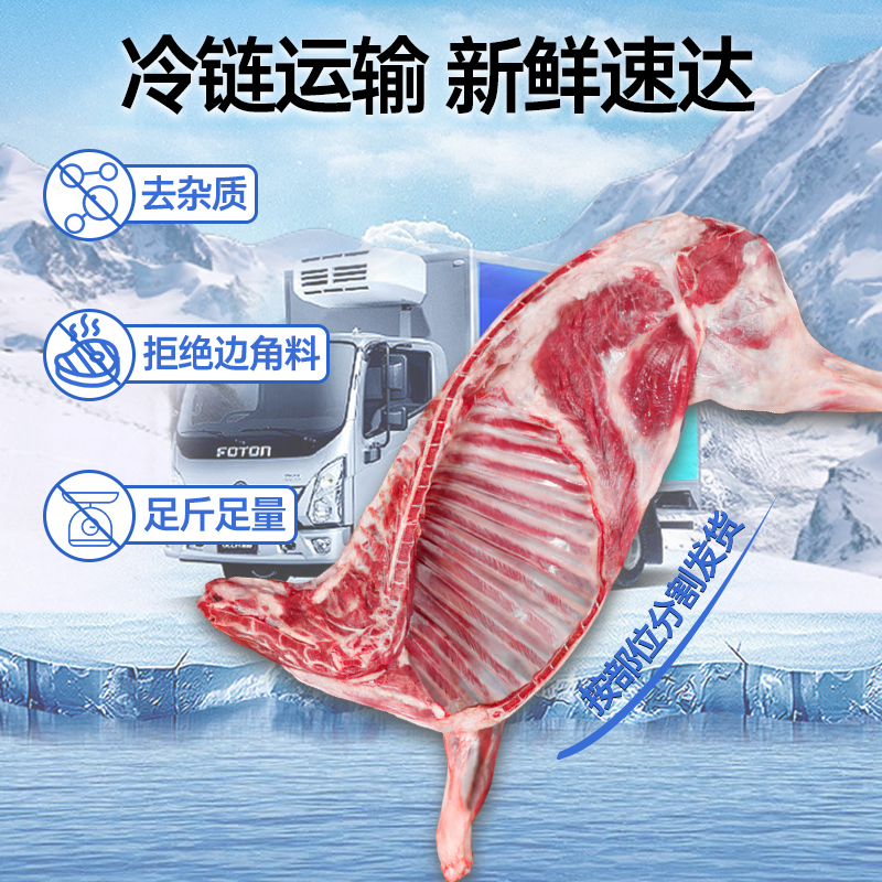 羊肉新鲜半只羊8斤乳羔羊生羊肉羊腿羊排羊蝎子火锅年货礼盒
