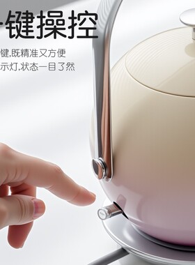 己颜烧水壶2025新款泡茶专用自动断电高颜值304不锈钢电热水壶