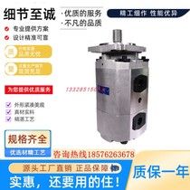 Hefei Long source gear pump CBKP100 80 63 50 40 32-BFP BF-H X duplex triple pump