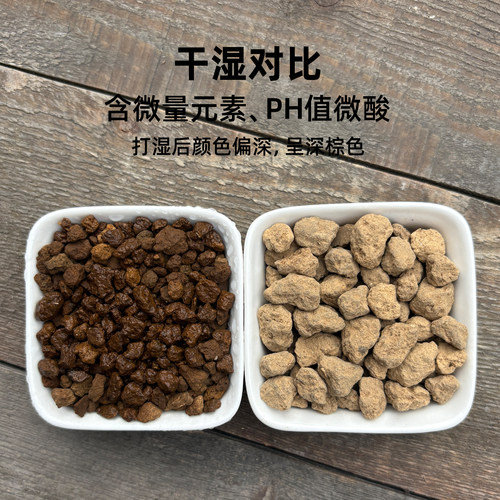 日本进口硬质赤玉土三本线小颗粒盆景专用爬宠铺面纯赤玉土大包装 - 图2