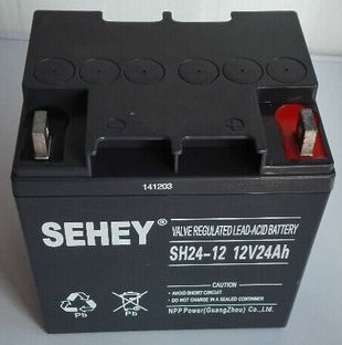 SEHEYNPG/SH65-12 12V65AH7/17/24AH38/40AH100AH120AH - 图1