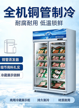 星星风冷无霜速冻品商用展示柜！