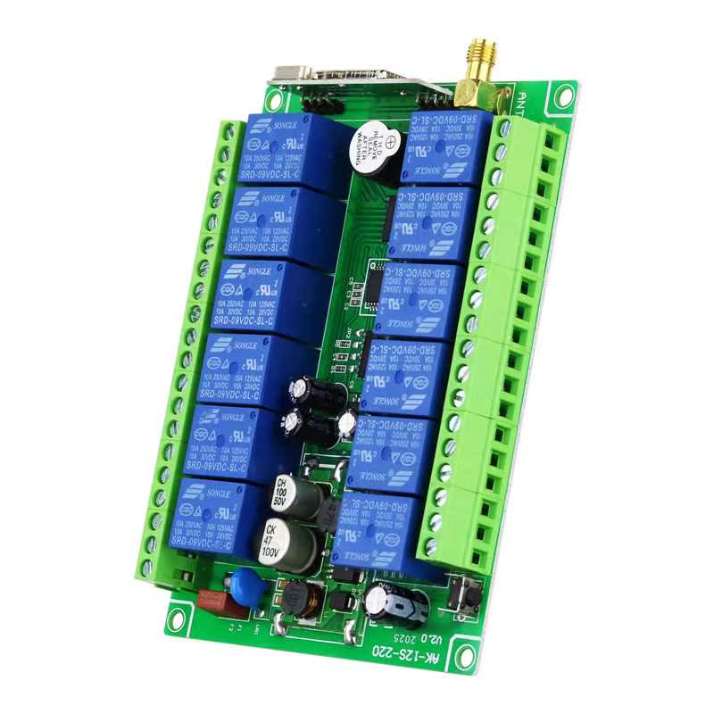 000m DC 12V 24V 6V 48V 12CH Radio Controller RF Wireless R - 图3