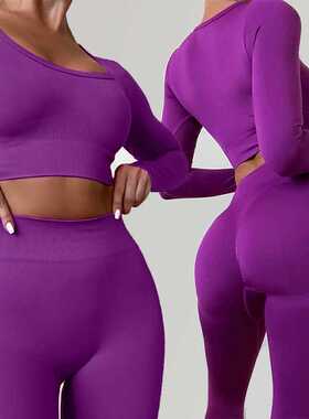 Seamless Sport Set Women Crop Top Shirt Leggings Two Piece O