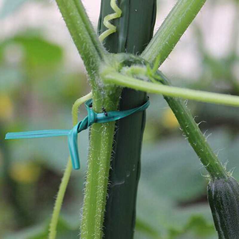 100pcs Green Gardening Vine Climbing Plants Cable Tie Lines - 图0