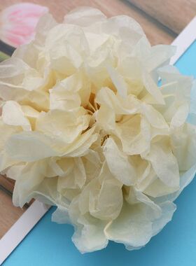 20 Pcs Tissue Paper Pom Poms Paper Pompoms Paper Flower