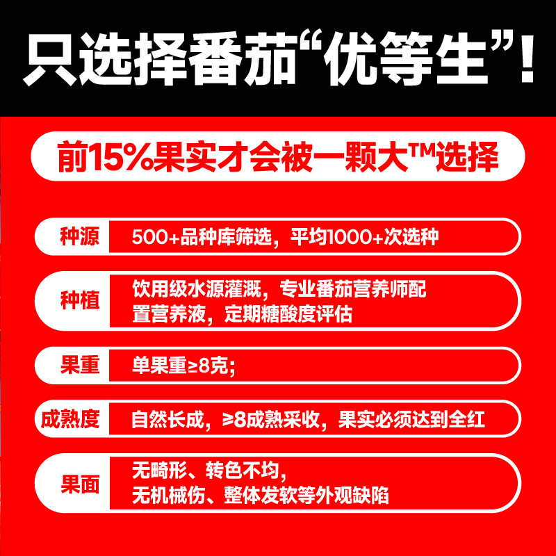 【一颗大】樱桃番茄水果番茄新鲜西红柿生吃非圣女果千禧小番茄