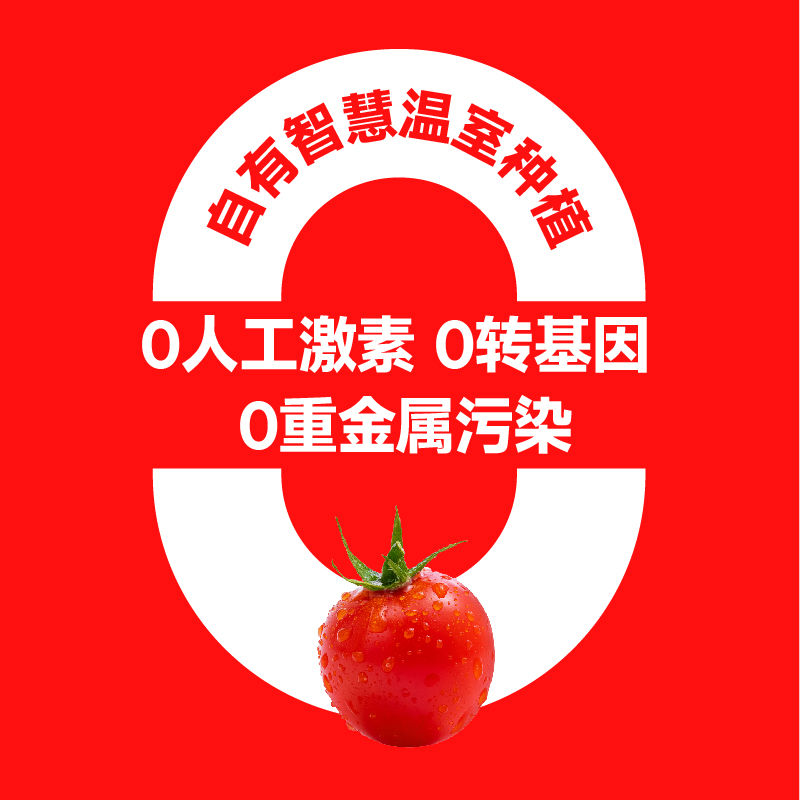 【一颗大】樱桃番茄水果番茄新鲜西红柿生吃非圣女果千禧小番茄