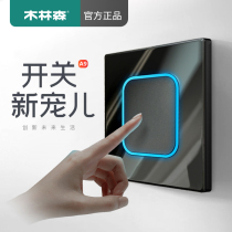 Single open double open three open four open home power lamp full house suit LED open double control switch socket panel