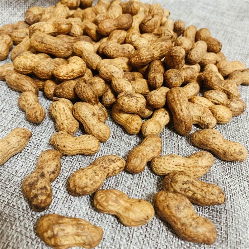 忠一味蜂蜜花生香脆带壳花生250*2袋坚果炒货年货休闲零食丑花生