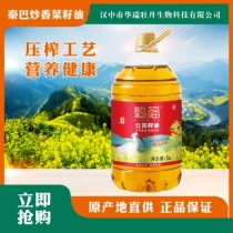 Ibis Foro Fried Fragrant type rapeseed oil Non-GMO Physical pressing No Add Degreasing Rapeseed Oil