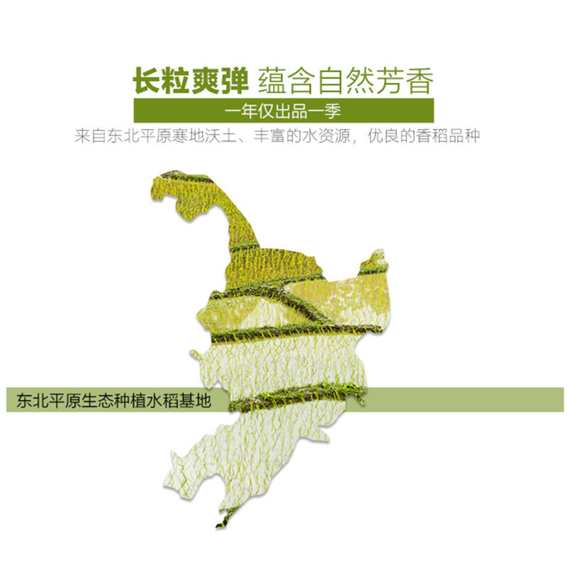 金龙鱼清香稻长粒香米500g正宗东北大米粳米一级新米1斤试吃批发,淘宝优惠券,粉丝福利购,淘宝优惠卷