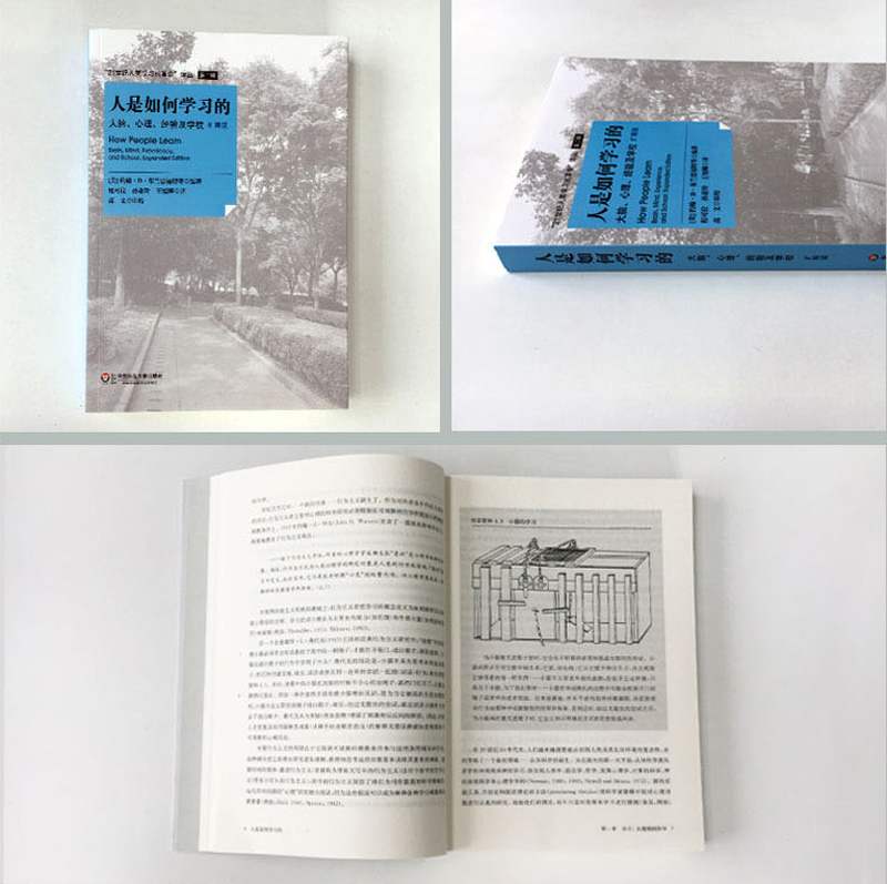 现货正版人是如何学习的 套装2册 洞见人类学习的本质 21世纪人类学习的革命译丛 学习科学研究报告 华东师范大学出版社 大夏书系 - 图1