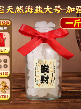 代发粗盐专用搬家结婚乔迁新居厕所净化消磁场摆件净宅大颗粒海盐