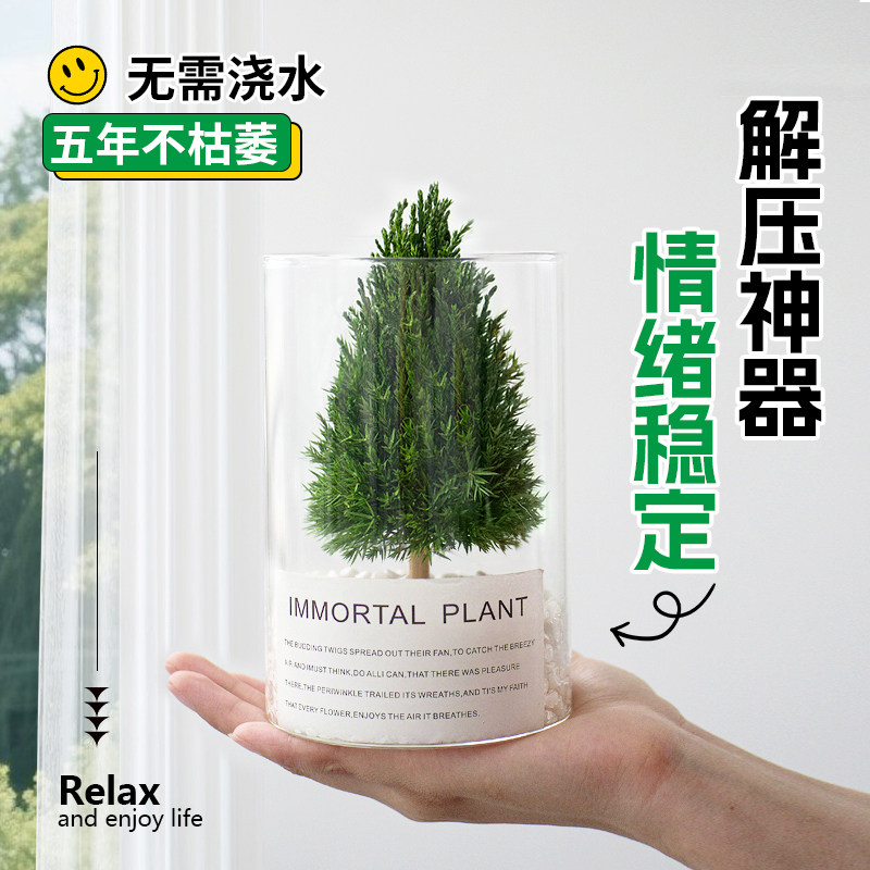 放青松桌面绿植摆件办公室解压盆栽工位情绪稳定植物家居乔迁礼物,淘宝优惠券,粉丝福利购,淘宝优惠卷