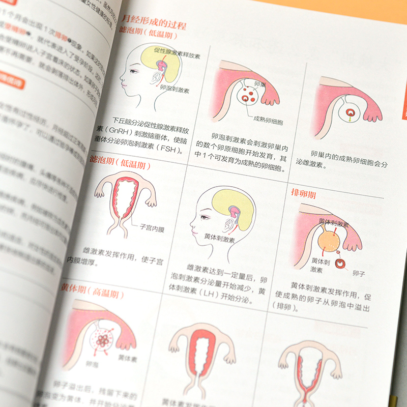 【读】含章图鉴-图解女性医学速查全书 妇科检查避孕怀孕生育年期心理疾病日常养护治疗检查基础医学知识女子养生科普百科书 - 图3