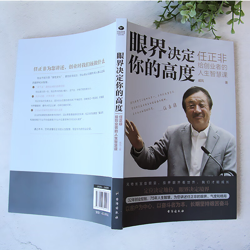 眼界决定你的高度 任正非给创业者的人生智慧课 思路决定出路 格局决定结局 眼界窥见高度 高情商自我实现 - 图0