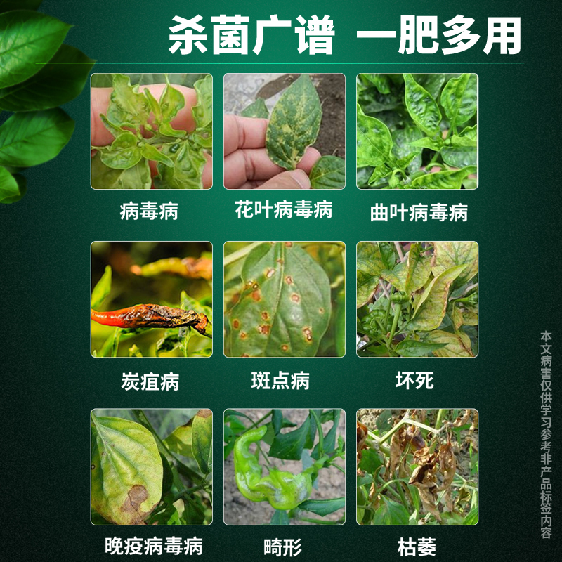 辣椒疫病清复合微生物菌剂病毒病专用番茄疫菌清病菌清专用杀菌剂 - 图1