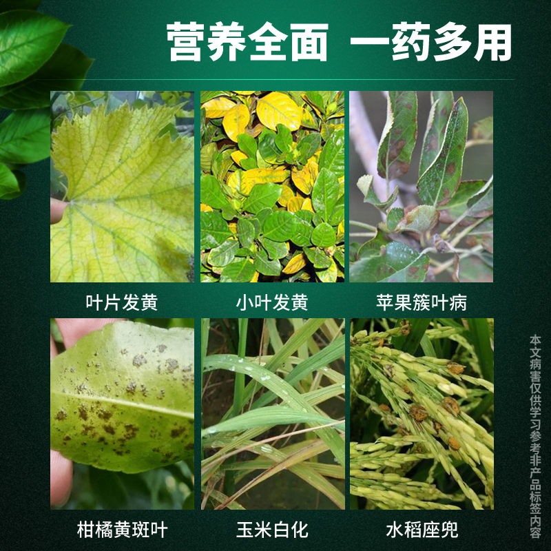 糖醇钙微量元素水溶肥料钙肥螯合钙保花保果药防落果锌硼钾钙铁镁 - 图1