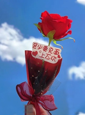 仪式感送女友仿真玫瑰花送老婆创意生日礼物花束七夕情人节礼品