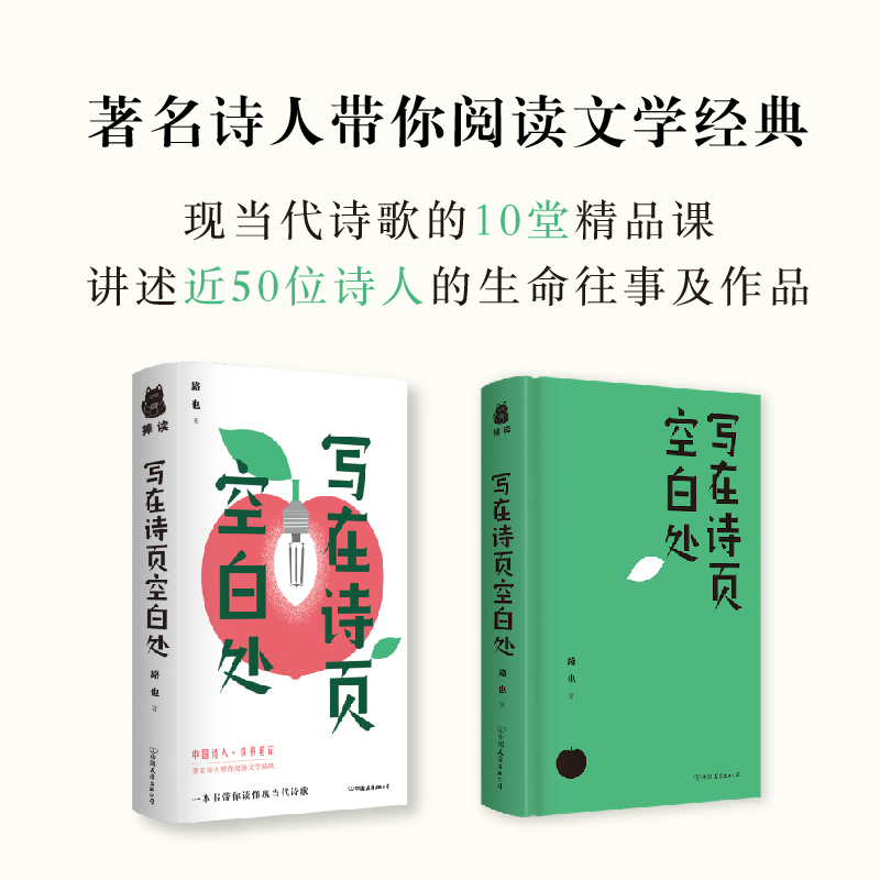 正版速发 写在诗页空白处 一本书带你读懂现当代诗歌现代诗的十堂精品课带你阅读文学经典探寻近50位现当代诗人生命往事及作品