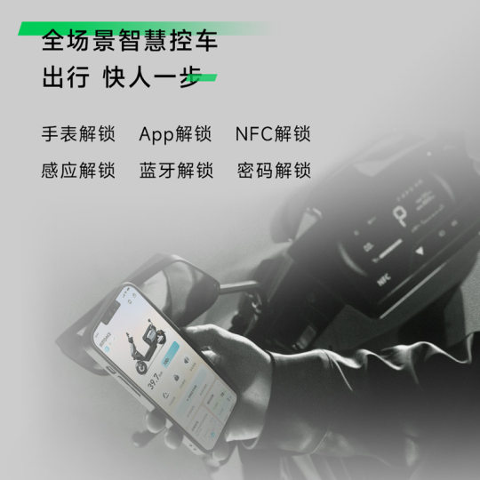 PAI-DM3 MAX+ new long-range smart street riding electric moped