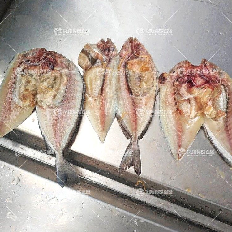 工厂直销 全自动杀鱼机 开鱼肚开背三枚鱼片机小型鱼类开片剖鱼机,淘宝优惠券,粉丝福利购,淘宝优惠卷