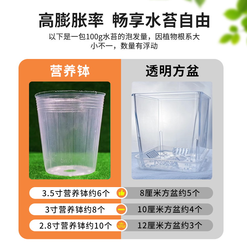 水苔蝴蝶兰专用智利进口毛毛虫水苔干苔藓乌龟造景土兰花专用植料