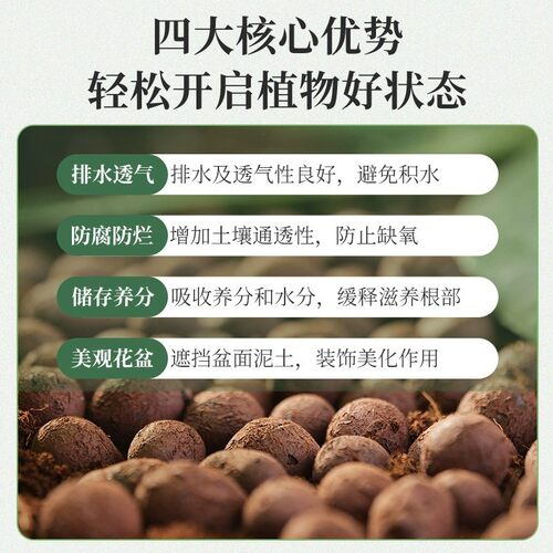 陶粒垫底养花专用多肉土盆栽铺面石花盆水培透气陶土粒回填卫生间 - 图2