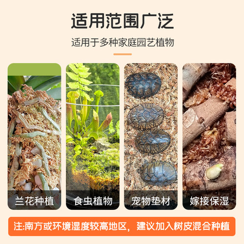 智利进口毛毛虫水苔七星干苔藓蝴蝶兰花专用土基质乌龟冬眠垫材 - 图3