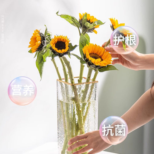 百花泉鲜花保鲜剂花卉水培绿植物富贵竹专用通用型营养液船长花园 - 图2
