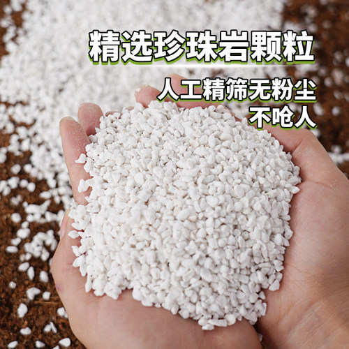 兰花植料珍珠岩除尘大颗粒养花通用营养土多肉兰种植育苗硬质植料 - 图2