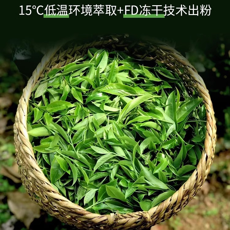 红土森林冷萃冻干茶粉云南普洱茶即溶茶珍DIY奶茶冷泡热泡回甘香 - 图0