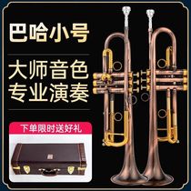 Baha small number LT180s-45GS downtone the trumpet instrument professional play