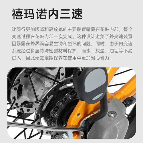 富士达折叠自行车内三速20寸成人超轻便携单车可放后备箱E300-2 - 图1