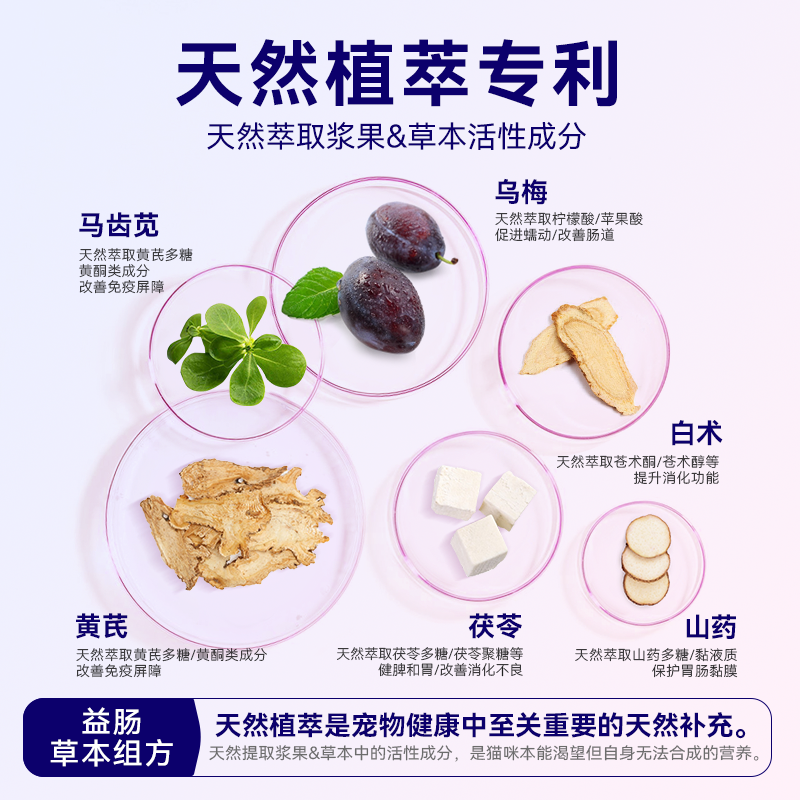 麦富迪barf猫粮霸弗全价烘焙鲜肉天然buff霸服鸡肉鱈鱼酥成幼猫粮 - 图0