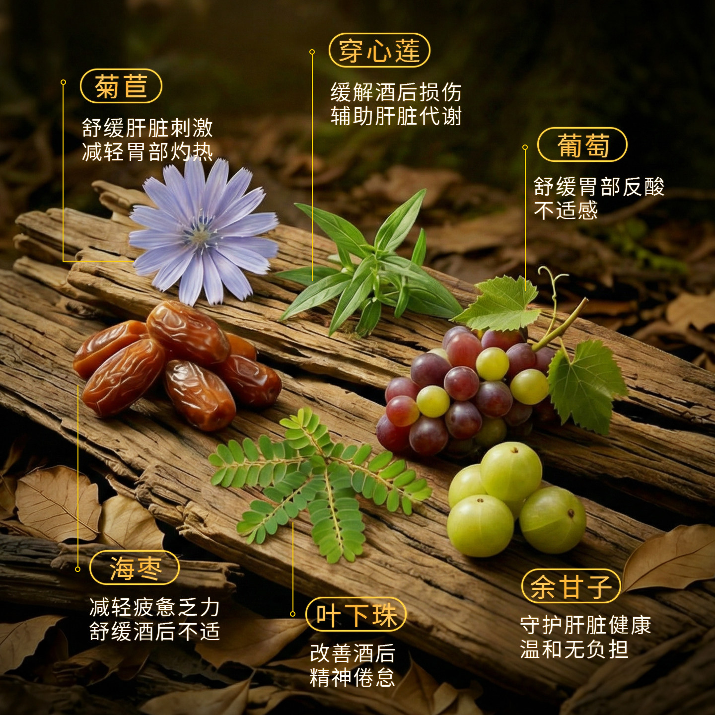 PartySmart解酒药片赛事熬夜喝酒前不醉神器千杯醒酒护肝片进口