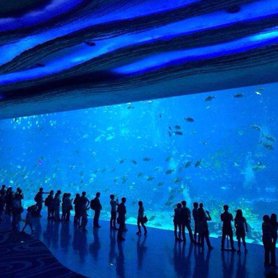 珠海长隆海洋王国大人儿童家庭套票特惠门票 家庭特惠当天限量 珠海长隆海洋王国大人儿童家庭套票特惠门票 家庭特惠当天限量