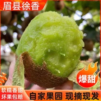 Shaanxi Zhengzongmei County Xu Xiangkiwi fruit fresh when the season is a whole box 5 10 catty of selected big green heart kiwifruit