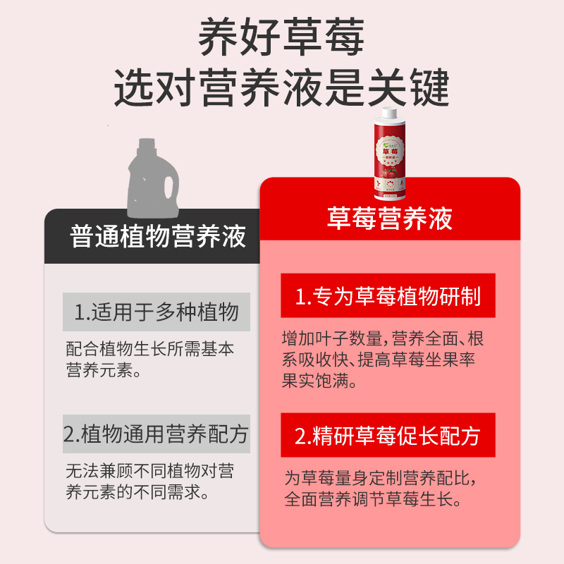 盆栽草莓营养液开花结果肥料专用肥家用有机种植浓缩液体肥复合肥 - 图3