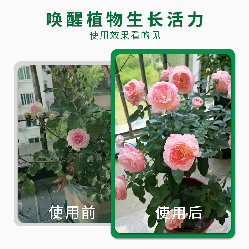 植美施磷酸二氢钾肥料花卉专用家用养花水溶肥叶面喷施官方旗舰店 - 图2