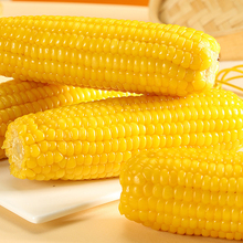 糯氏真空装东北甜糯黄玉米250g*8根