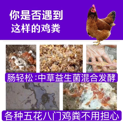 Куриный помет легко может быть пробиотиком и ферментирован травой. Куриный помет различных стилей и цветов можно использовать без остатка.