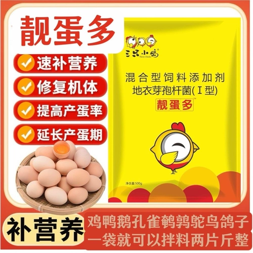 Курица откладывает больше яиц, чтобы устранить фальтопианит и разбить яйца, песочные раковины, яйца, кур, утки и гусные яйца, яйцо откладывает, много красивых яиц