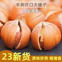 New stock Northeast big hazelnut opening special production fried cooked hand peeled nuts fresh pregnant woman Icarte original taste wild opener