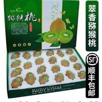 (Shunfeng) delivery boutique Zhengzong Zhou to Cuixiang kiwi 20 grain ~ 40 grains of bad damage package